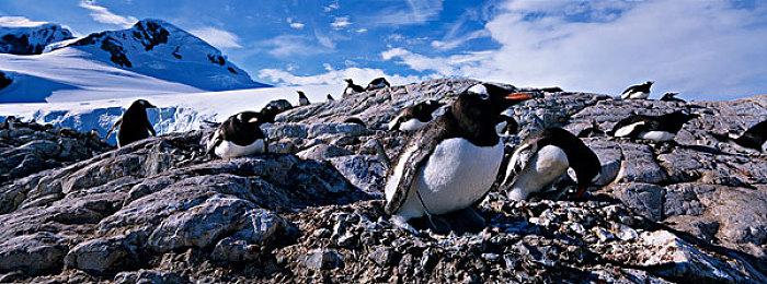 新增武器技能《神之亵渎2》2023年夏季全平台发售